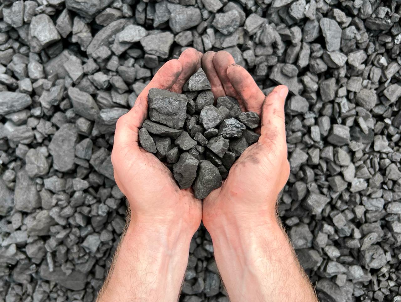 Hochwertige Anthrazitkohle in Händen gehalten, symbolisiert Qualität und handwerkliche Präzision.